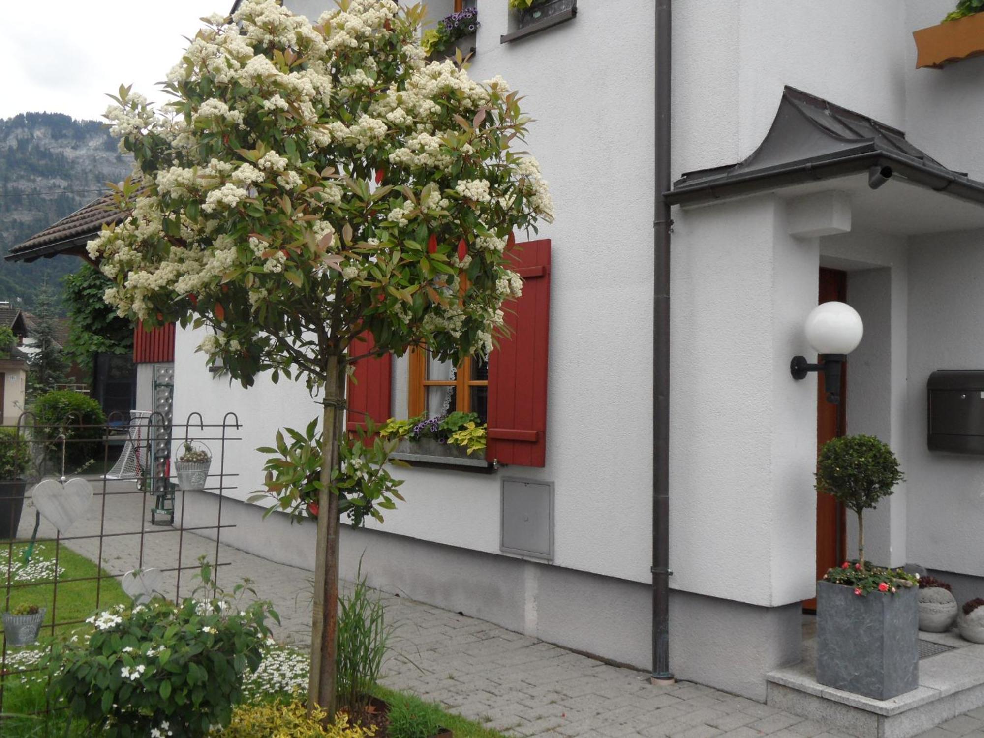 Ferienwohnung Lilly Dornbirn Exteriör bild